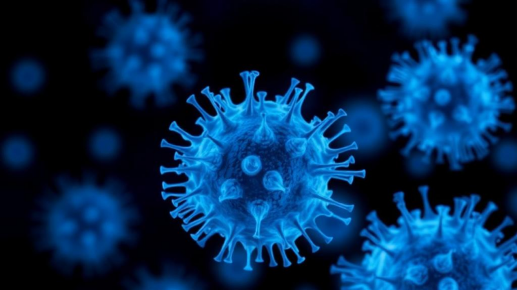 Cobalt Compound Halts Colorectal Cancer Cells by Jamming CDK4/6 and BCL2
