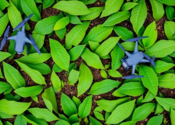 Drones Reveal Hidden Crop Water Stress Weeks Before It Shows in the Leaves