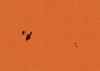 New Tools and Strategies Emerge as Global Malaria Control Faces Mounting Threats