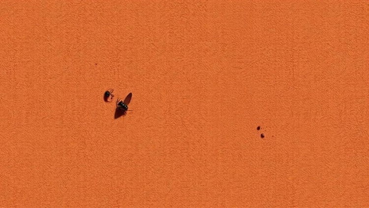 New Tools and Strategies Emerge as Global Malaria Control Faces Mounting Threats