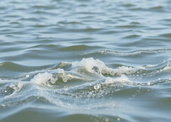 Virtual particles reveal how wind drives sewage plumes through an Albanian lagoon