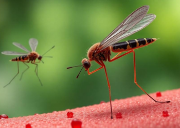 Angiotensin II Blocks Malaria Parasite Invasion at Doses Below Blood Pressure Receptor Activation