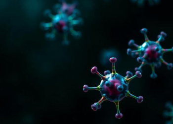 Ursolic Acid Emerges as a Multi-Target Natural Weapon Against Cancer