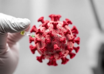 Imperfect Vaccines and Waning Immunity Can Undermine HPV Elimination, Model Warns