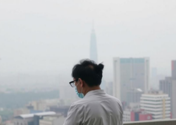 Cleaner Air, Calmer Searches: How China’s Air Quality Shapes Public Attention to Depression