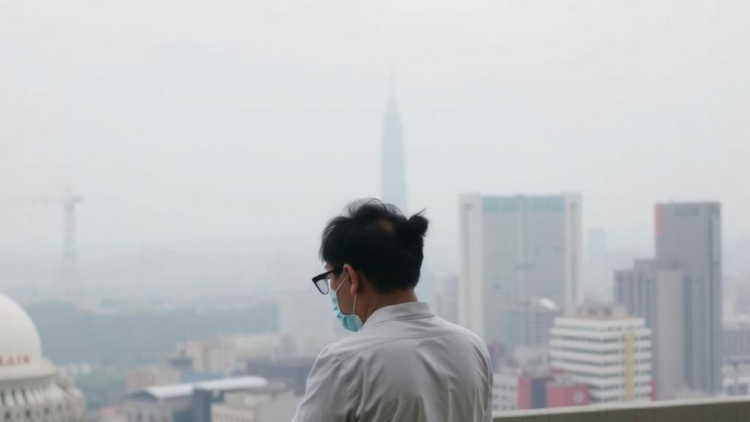 Cleaner Air, Calmer Searches: How China’s Air Quality Shapes Public Attention to Depression
