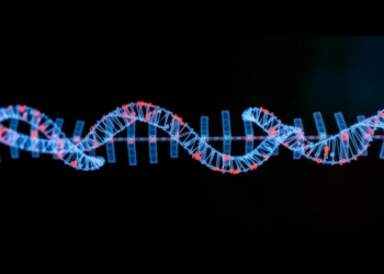 Small Set of Genes Drives Most Bias Between 3′ and 5′ Single-Cell RNA Sequencing Protocols