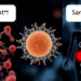 How Bacteria, Archaea and Human Cells Use Different Genetic Stop Signs to End Transcription