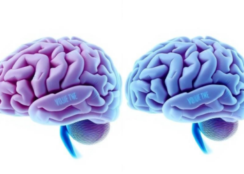Brain Volumetry Pipelines Are Not Interchangeable, Landmark Comparison Reveals