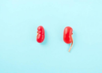 Incretin Drugs Show Heart and Kidney Protection Beyond Blood Sugar Control, Review Finds