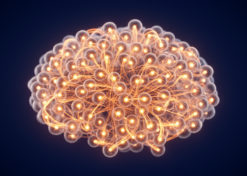 Brain-Inspired Wiring Rules Reshape the Dynamics of Recurrent Neural Networks