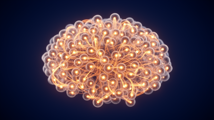 Brain-Inspired Wiring Rules Reshape the Dynamics of Recurrent Neural Networks