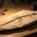Glass Lizard Hidden in Spanish Mine Slab Rewrites Miocene Ecosystem Map