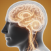 How the Brain’s Own Noise May Explain Tinnitus: A Decade of the Stochastic Resonance Model