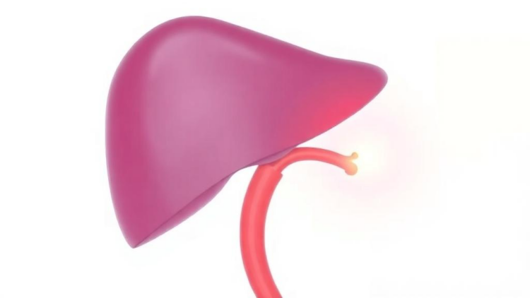 Stronger Chemo Dose Fails to Extend Survival in Liver Cancer Embolization Study