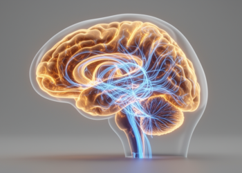 Dystonia Rewired: How Brain Networks Explain a Movement Disorder