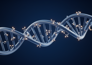 DNA Methylation: The Dynamic Software of the Genome That Shapes Human Disease