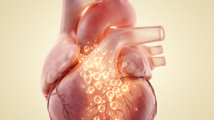Radiation-Free Microbubble Imaging Moves Toward the Heart of Pediatric Medicine