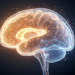 Why Aerobic Exercise Helps Mood More Than Memory: New Neuroscience Maps the Brain’s Multiscale Response