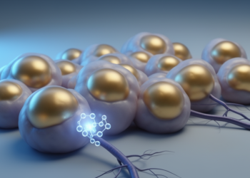 Hypoxia Switch in Fat Cells Reveals How Obesity Locks In Lipid Storage