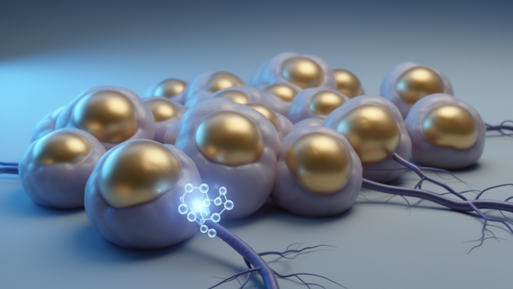 Hypoxia Switch in Fat Cells Reveals How Obesity Locks In Lipid Storage