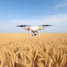 Drone Models Rank Unseen Wheat Lines in Kazakhstan’s Harshest Season