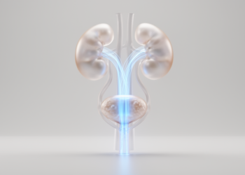 A Mathematical Map of the Male Urinary System Puts the Prostate in the Path of Flow