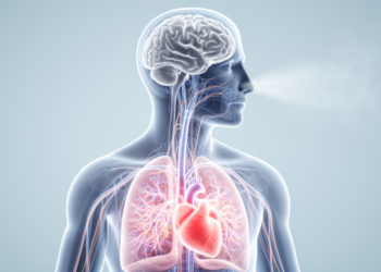 Breathing In or Out Rewires the Brain-Heart Dialogue, Study Finds