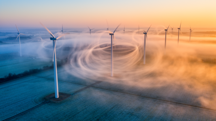 Morning Turbulence: How Dawn Air Transforms Wind-Turbine Wakes Within Hours