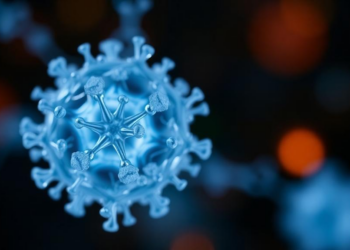 Sound-Activated Nanoparticles Meet Patient-Derived Tumor Organoids in Precision Cancer Therapy