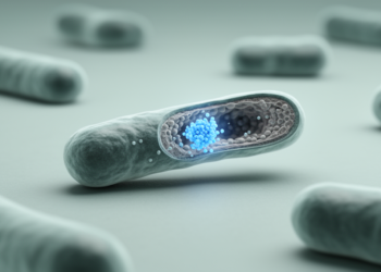 Scientists uncover hidden weakness in antibiotic-resistant bacteria