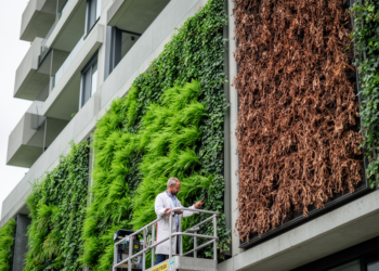 Green Walls, Gray Trade-offs: Why Nature-Inclusive Architecture Is Not a Guaranteed Win for Health or Biodiversity