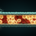 Mitochondrial Metabolic Remodeling Drives Blood–Brain Barrier Dysfunction After Repetitive Mild Traumatic Brain Injury