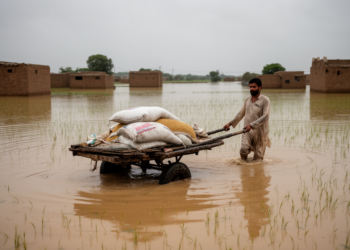 Floods, Pests and Poverty: How Climate Vulnerability Is Reshaping Rural Livelihoods in Punjab