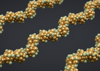 Aurophilic attraction sculpts hyperchlorinated gold clusters into zigzag chains