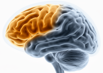 Fatigue in Crohn’s disease maps onto folding of temporal and frontal cortex