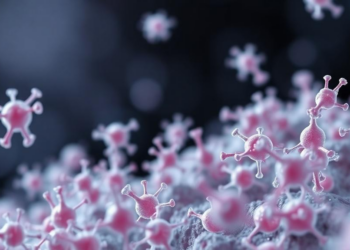 Engineered bacteria return to the front line of cancer therapy