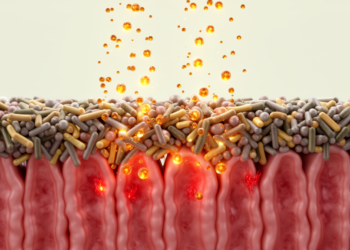 Mycotoxins Turn the Gut Microbiome Into Both Shield and Target of Toxicity
