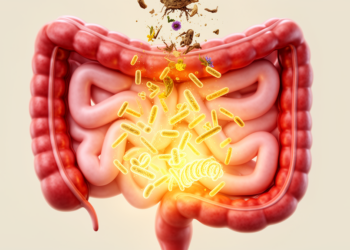 Ancient Four-Herb Formula Heals Colitis by Feeding Gut Microbes That Activate AhR