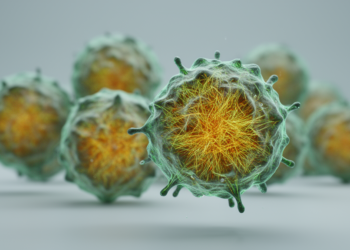 Vimentin Emerges as a Powerful Prognostic Marker in Triple-Negative Breast Cancer