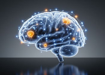 Shallow AI Reads Brain Networks to Decode Theory of Mind