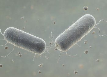 ISTA Study Finds Bacteria Use Viruses for Sex-Like DNA Exchange During Starvation