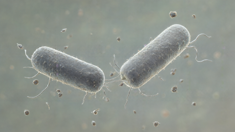 ISTA Study Finds Bacteria Use Viruses for Sex-Like DNA Exchange During Starvation