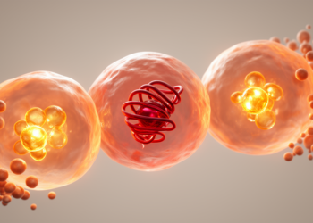 How a Single Transcription Factor Decides Whether Sunburned Skin Cells Live or Die