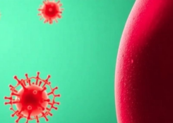 Vaginal Microbiome Fingerprints Could Date Crime Scene Evidence Within Days