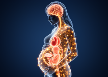 The Maternal-Fetal Communicatome: How Pregnancy Acts as One Unified Physiological Network