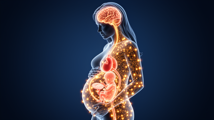 The Maternal-Fetal Communicatome: How Pregnancy Acts as One Unified Physiological Network