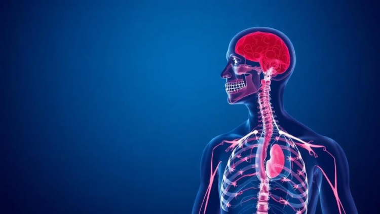 Cancer Immunotherapy Unmasks Rare Myasthenia Gravis Twelve Years After Thymectomy
