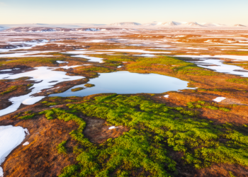 Growing Seasons in the Far North Are Far More Local Than Climate Models Ever Imagined