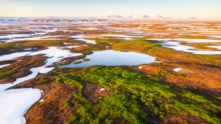 Growing Seasons in the Far North Are Far More Local Than Climate Models Ever Imagined